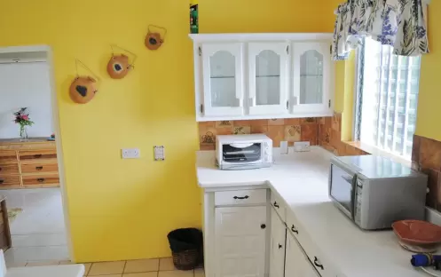 YOUNG ISLAND DUVENNET SUITE - KITCHEN